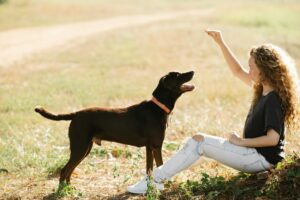 Young woman with curly hair playing with her dog outdoors in a sunny park.