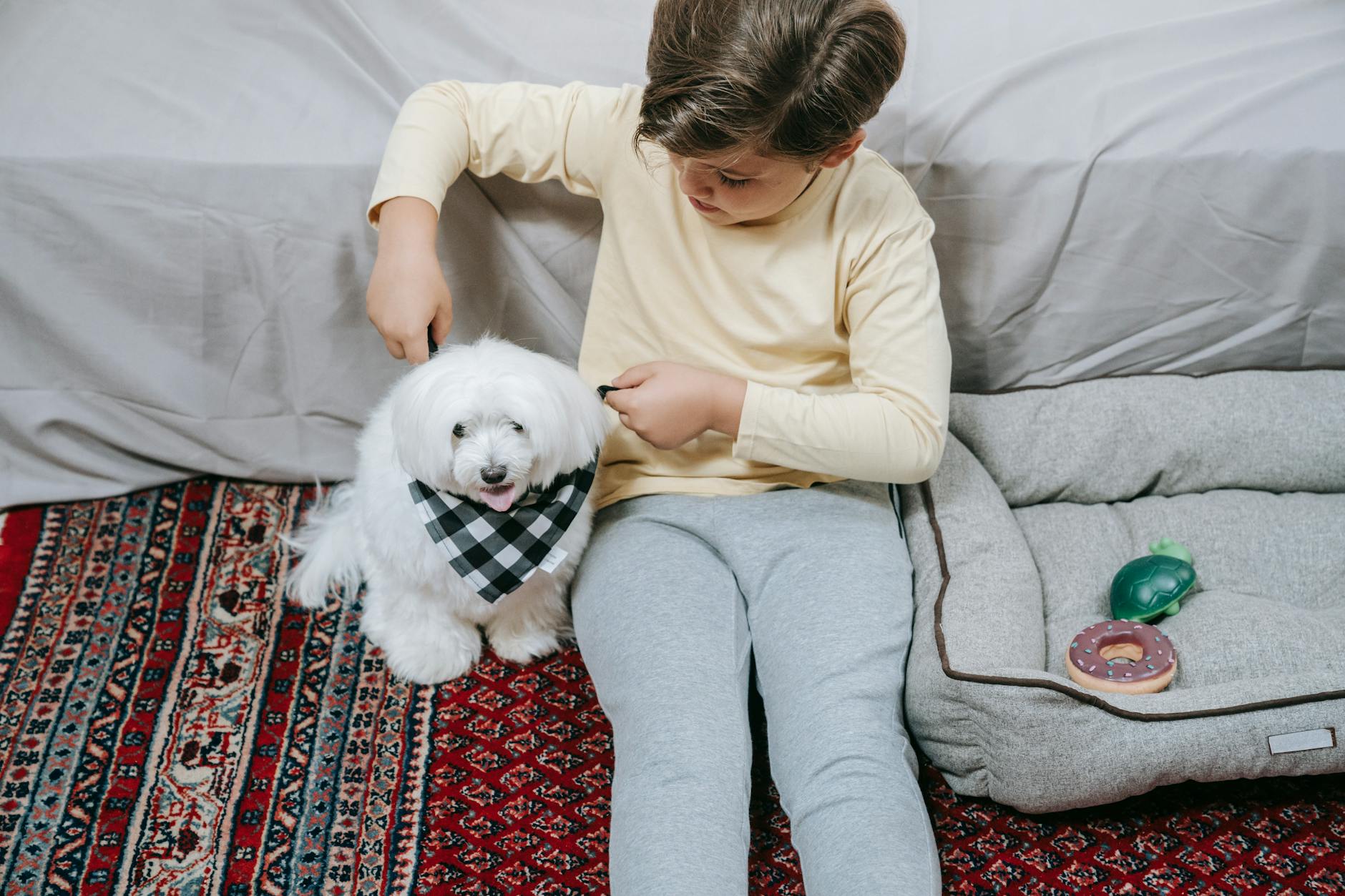 A child sits on a colorful carpet interacting with a small white dog wearing a bandana, next to a soft dog bed.