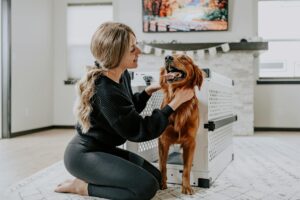 Woman in yoga pants with golden retriever next to stylish dog crate indoors.